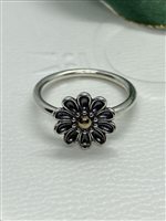 Anello Pandora Donna in Argento 190902-58 - 190902-58